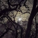 Shady Spot Mobile Home Park