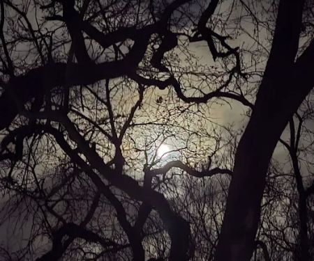 Shady Spot Mobile Home Park