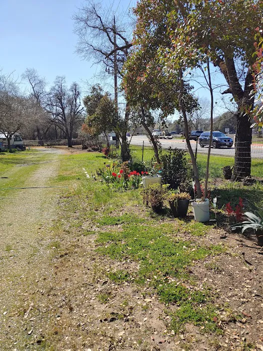 Loomis RV Park Picture 10