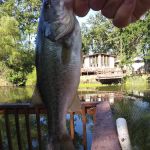 Creekside Mobile Home Park