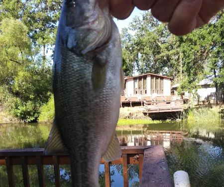 Creekside Mobile Home Park