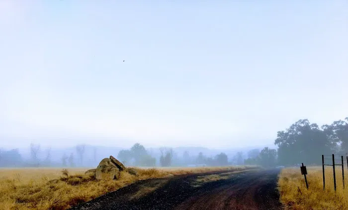 Sleepy Hollow MHP Picture 2