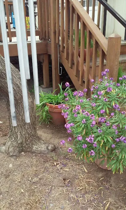 Almond Grove Mobile Home Park Picture 1
