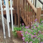 Almond Grove Mobile Home Park