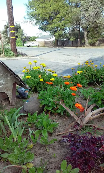 Almond Grove Mobile Home Park Picture 10