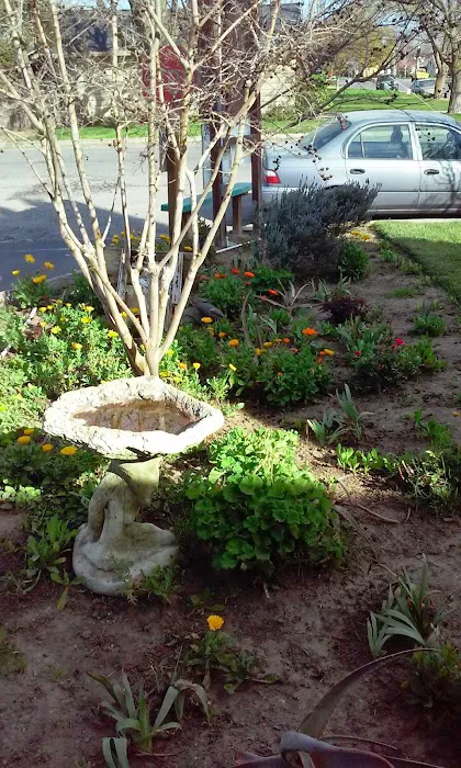Almond Grove Mobile Home Park Picture 8