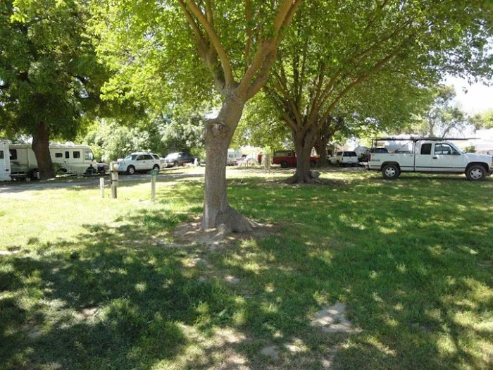 Lovey's Landing RV park Picture 3