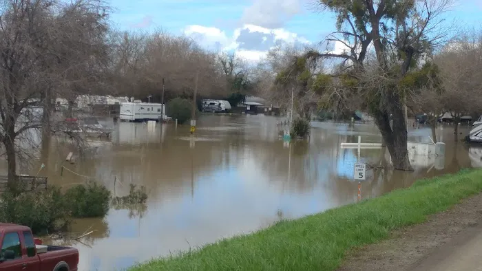 Lovey's Landing RV park Picture 8