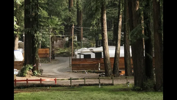 Redwood Village Picture 8