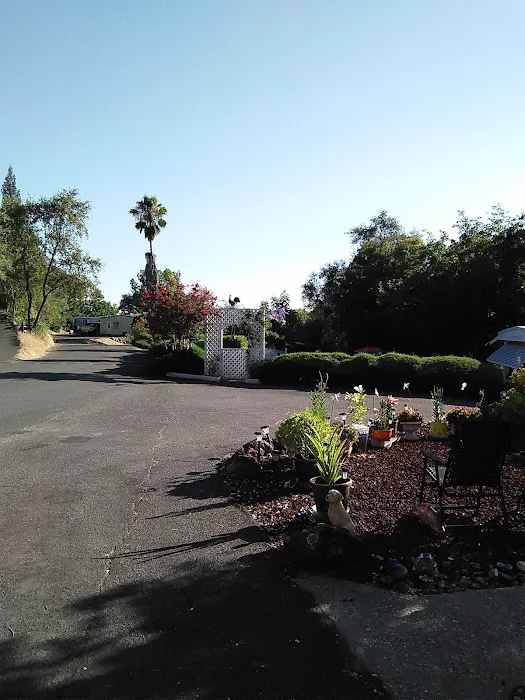 Castle City Mobile Home Community Picture 2