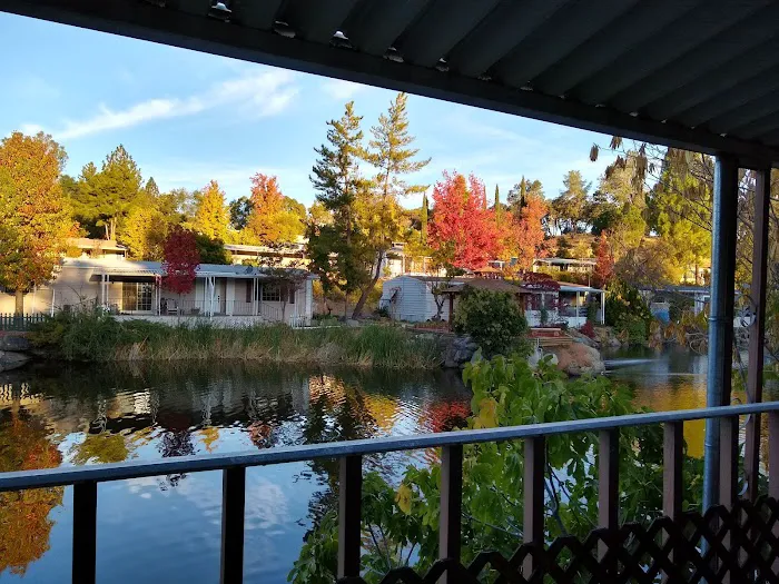 Castle City Mobile Home Community Picture 3