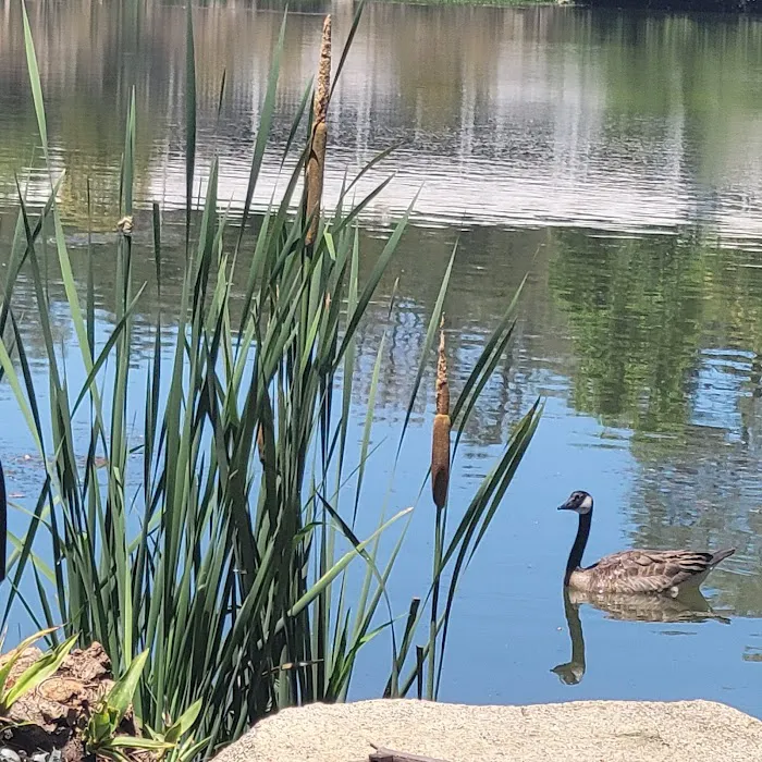 Castle City Mobile Home Community Picture 6