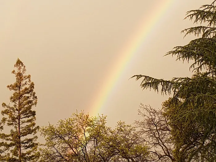 Castle City Mobile Home Community Picture 5