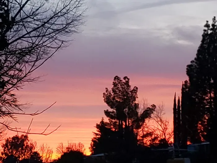 Castle City Mobile Home Community Picture 7