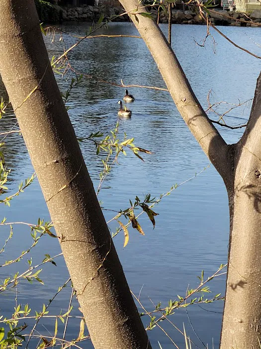 Castle City Mobile Home Community Picture 10