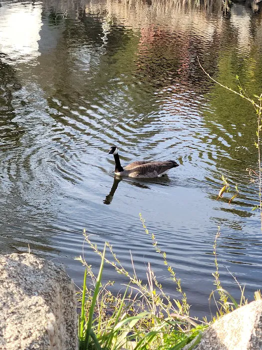 Castle City Mobile Home Community Picture 8