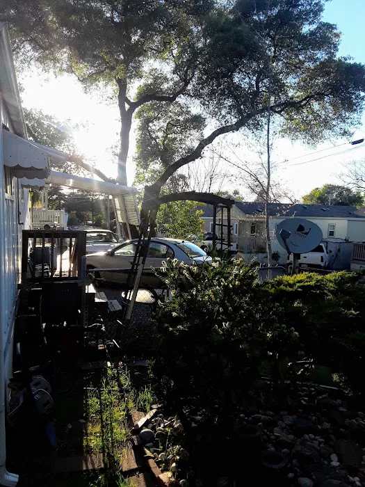 Auburn Mobile Home Village Picture 10