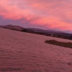 Southshore Mobile Park