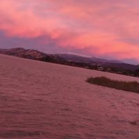 Southshore Mobile Park ico