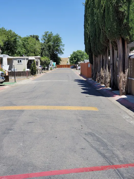 Mobile Home Park-Closed no longer run business under this name Picture 10