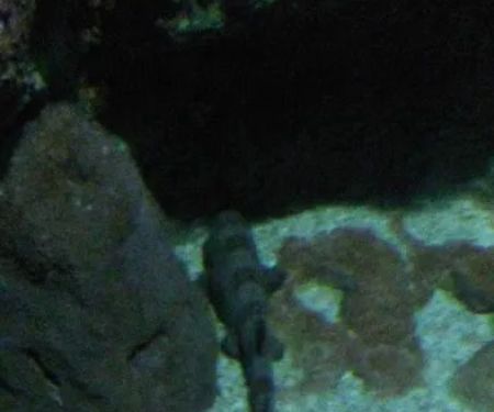 Country Village Mobile Park