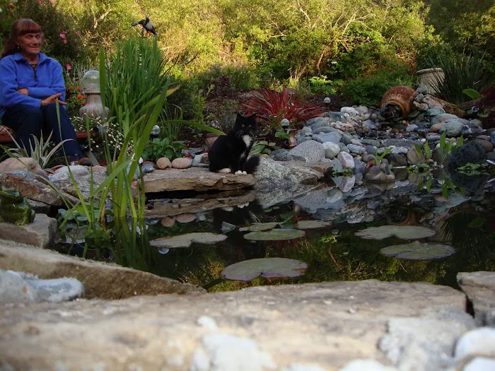 Bridgehaven Park Picture 3