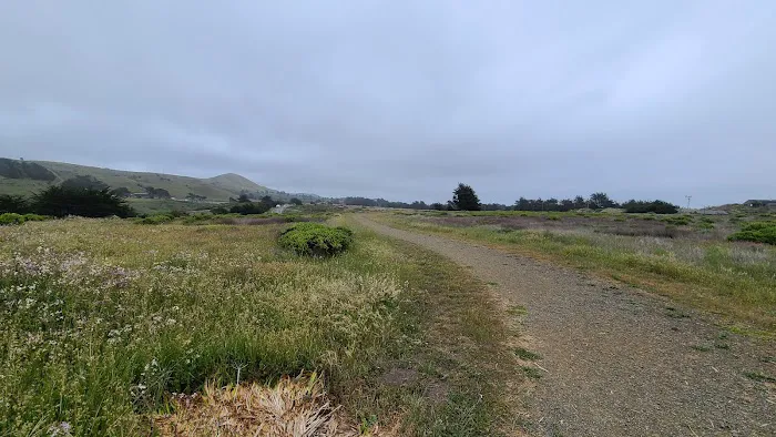 Bodega Bay RV Park Picture 10