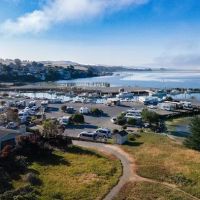 Porto Bodega Marina and RV Park ico