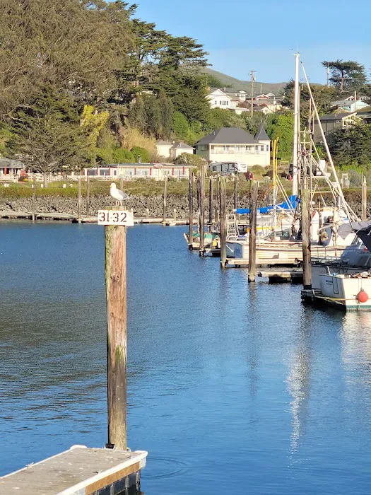 Porto Bodega Marina and RV Park Picture 2