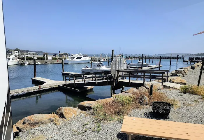 Porto Bodega Marina and RV Park Picture 4