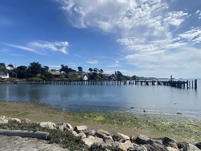 Porto Bodega Marina and RV Park Picture 3