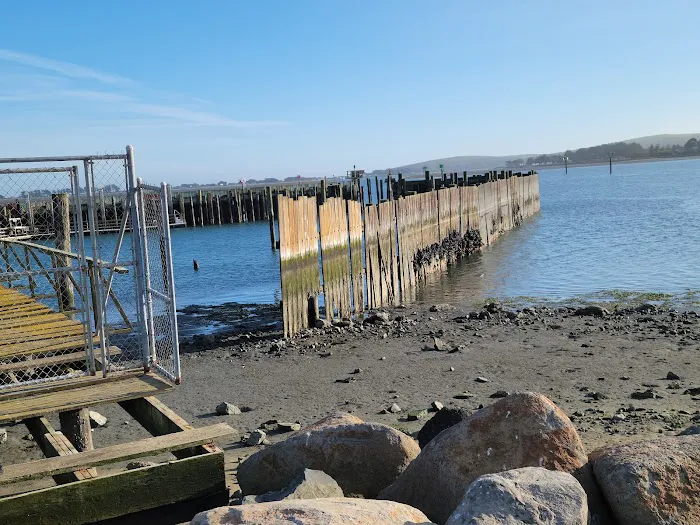 Porto Bodega Marina and RV Park Picture 6