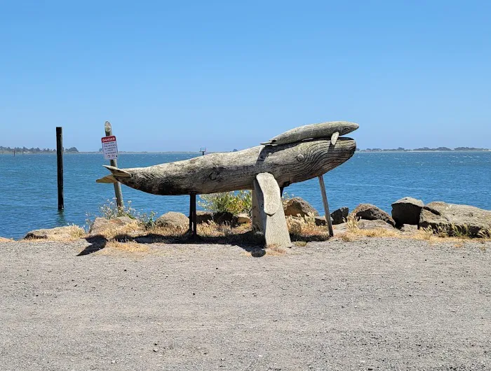 Porto Bodega Marina and RV Park Picture 5