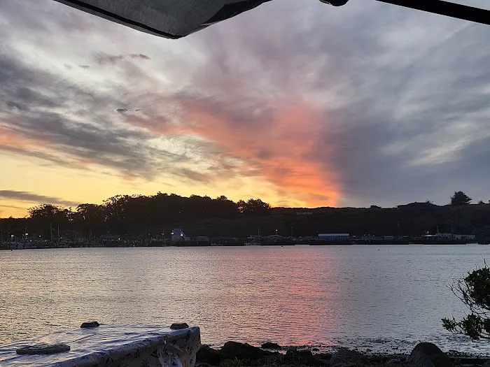 Porto Bodega Marina and RV Park Picture 8