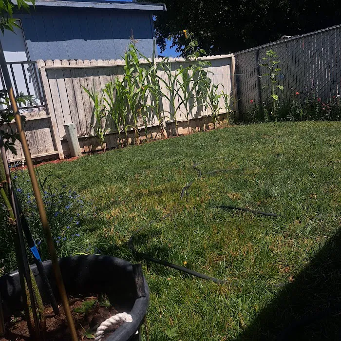 Sunset Villa Mobile Home Park Picture 2