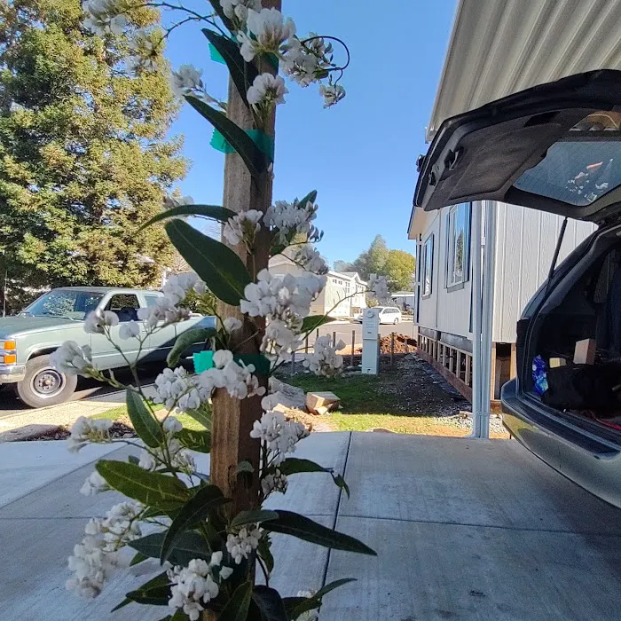 Edgewood Mobile Home Village Picture 7