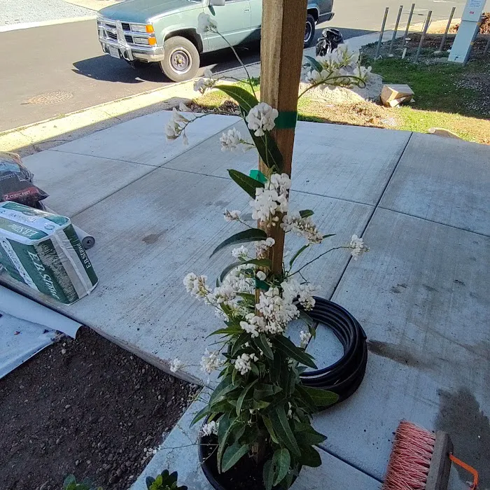 Edgewood Mobile Home Village Picture 8