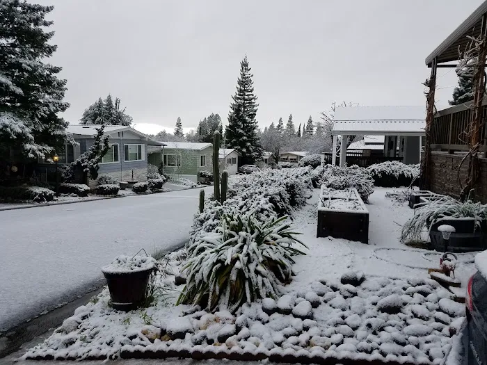 Woodside Village Mobile Home Park Picture 3