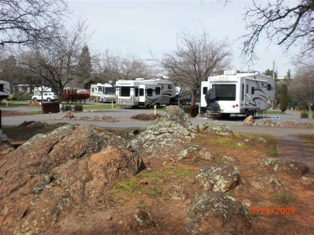 Auburn Gold Country RV Park Picture 2
