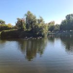 Rock Creek Mobile Home Park