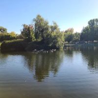 Rock Creek Mobile Home Park ico