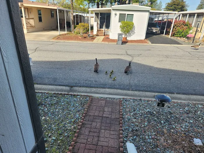 Rock Creek Mobile Home Park Picture 8