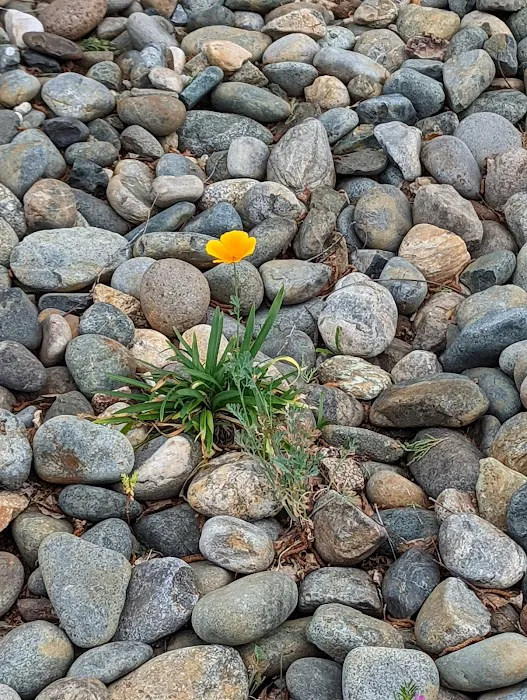Rock Creek Mobile Home Park Picture 7