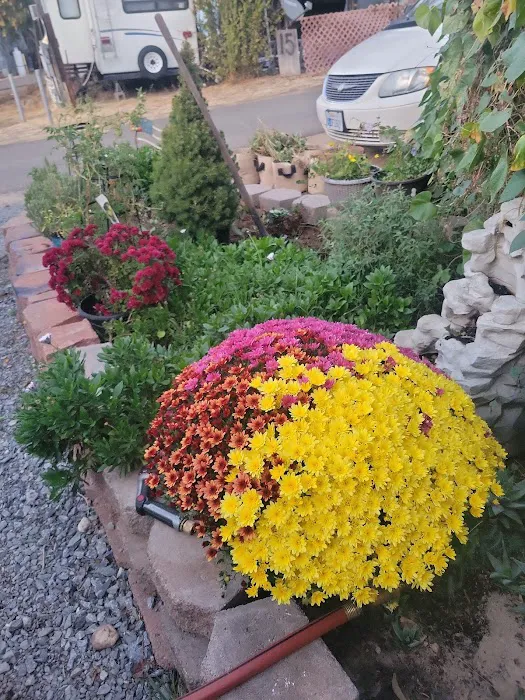 Flanigan Mobile Home Park Picture 4