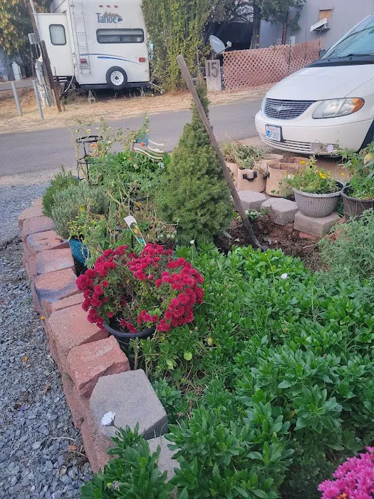 Flanigan Mobile Home Park Picture 5