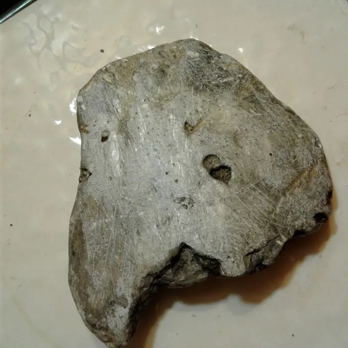 Glenoaks Mobile Home Park Picture 8