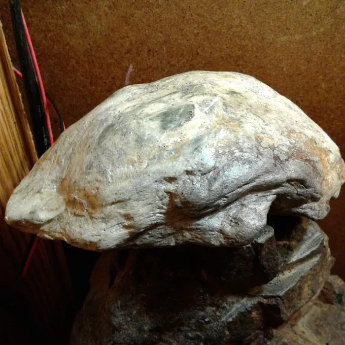 Glenoaks Mobile Home Park Picture 9