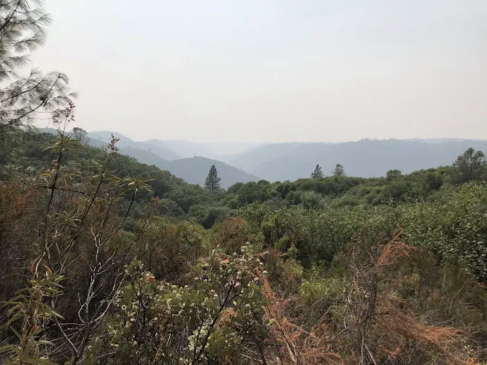 Glenoaks Mobile Home Park Picture 7