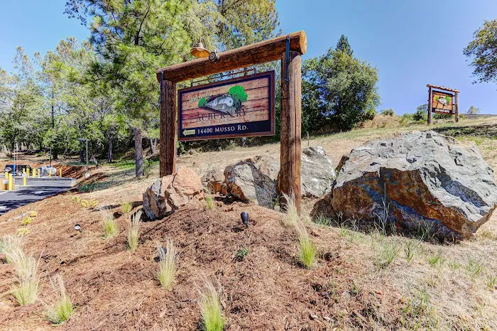 Auburn RV Resort Picture 9