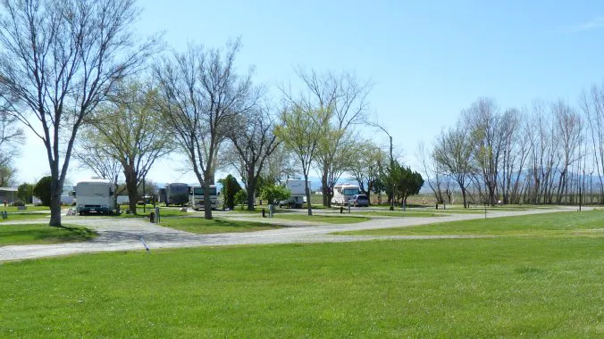 Willows Mobile Home & RV Park Picture 3